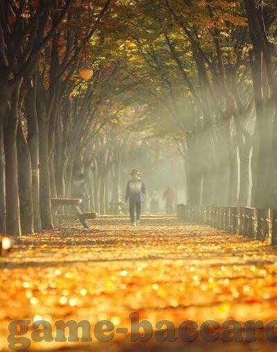 足球黄牌比分-足球场上的隐形比分，黄牌如何改写比赛走向？